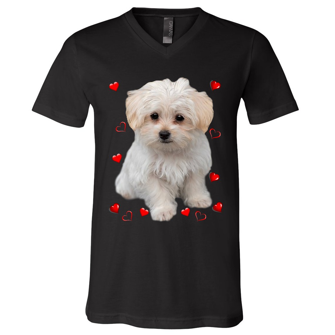 Maltese Dog Lover Dogs Puppies Owners Design V-Neck T-Shirt