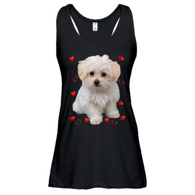 Maltese Dog Lover Dogs Puppies Owners Design Ladies Essential Flowy Tank