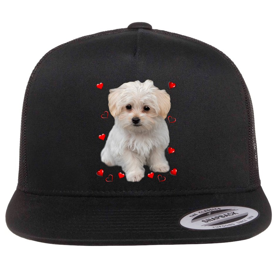Maltese Dog Lover Dogs Puppies Owners Design Flat Bill Trucker Hat