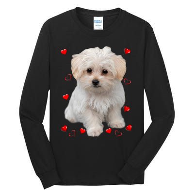 Maltese Dog Lover Dogs Puppies Owners Design Tall Long Sleeve T-Shirt