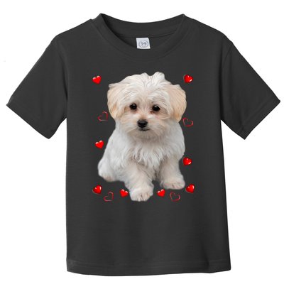 Maltese Dog Lover Dogs Puppies Owners Design Toddler T-Shirt