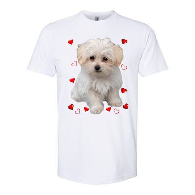 Maltese Dog Lover Dogs Puppies Owners Design Softstyle® CVC T-Shirt