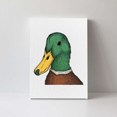 Mallard Duck Canvas