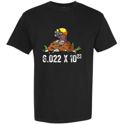 Mole Day Meaningful Gift Avogadros Number Funny Chemistry Mole Meaningful Gift Garment-Dyed Heavyweight T-Shirt