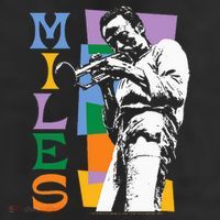 M.I.L.E.S Davis Miles Colorblock Beanie