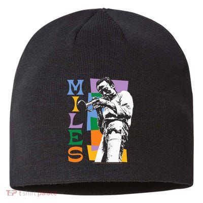 M.I.L.E.S Davis Miles Colorblock Sustainable Beanie