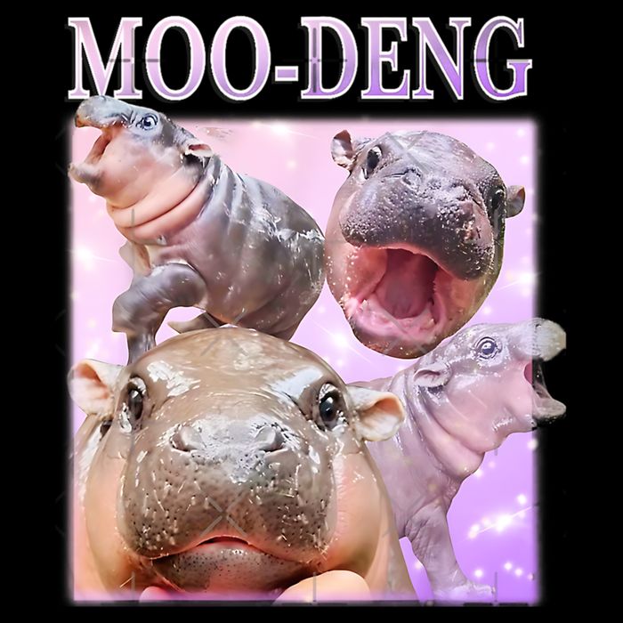 Moo Deng Cooling Performance Long Sleeve Crew