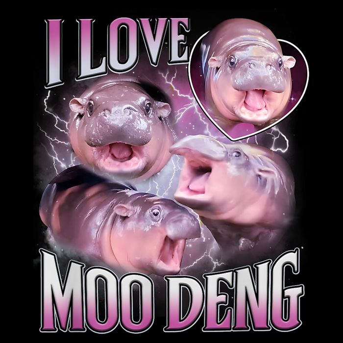 Moo Deng Magnet