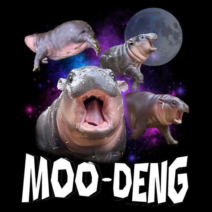 Moo Deng Performance Shirt