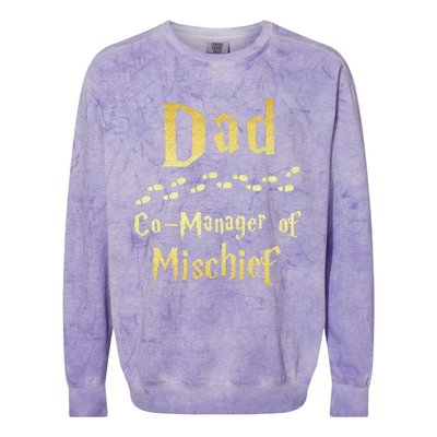 Magical Dad Manager Of Mischief Birthday Family Matching Colorblast Crewneck Sweatshirt