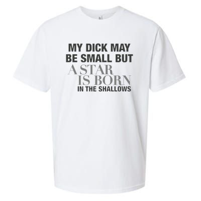 My Dick May Be Small But A Star Is Born In The Shallows Sueded Cloud Jersey T-Shirt