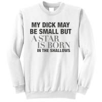 My Dick May Be Small But A Star Is Born In The Shallows Sweatshirt