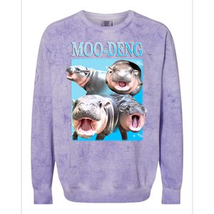 Moo Deng Meme Hippo Funny Colorblast Crewneck Sweatshirt