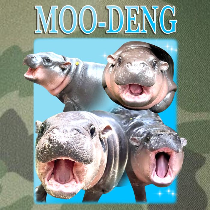 Moo Deng Meme Hippo Funny Legacy Tie Dye Trucker Hat
