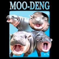 Moo Deng Meme Hippo Funny Wool Snapback Cap