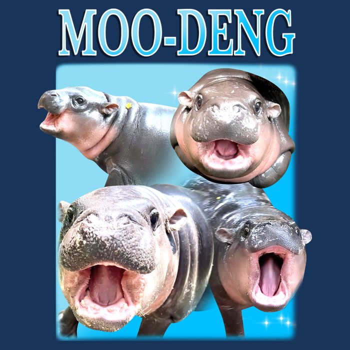 Moo Deng Meme Hippo Funny Baby Bodysuit