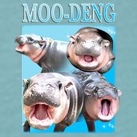 Moo Deng Meme Hippo Funny Sueded Cloud Jersey T-Shirt