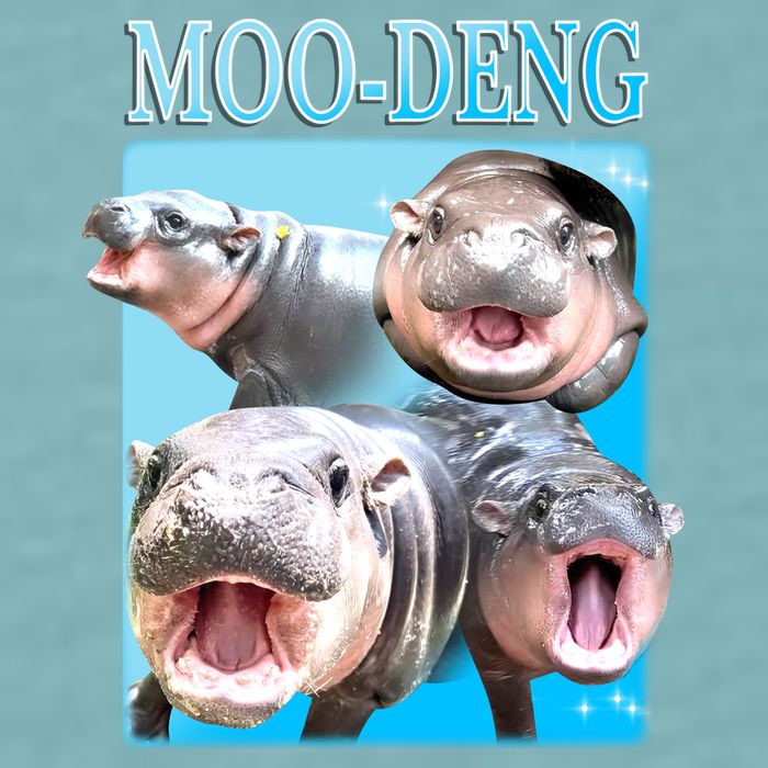 Moo Deng Meme Hippo Funny Sueded Cloud Jersey T-Shirt