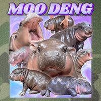 Moo Deng Meme Hippo Legacy Tie Dye Trucker Hat