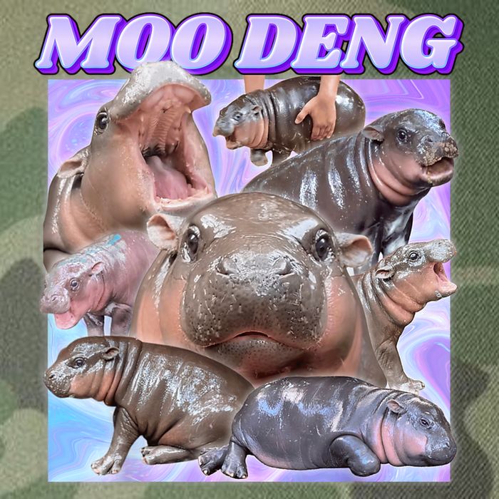 Moo Deng Meme Hippo Legacy Tie Dye Trucker Hat