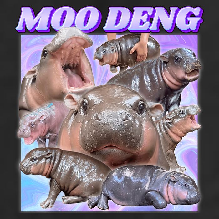 Moo Deng Meme Hippo 7 Panel Mesh Trucker Snapback Hat