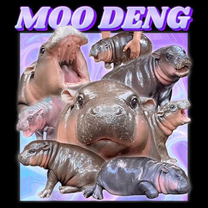 Moo Deng Meme Hippo Drawstring Bag