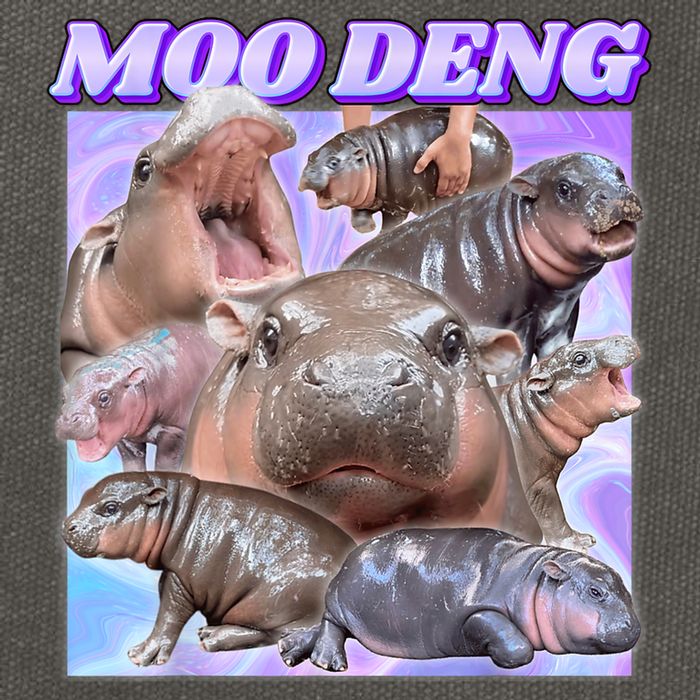 Moo Deng Meme Hippo Cotton Canvas Backpack