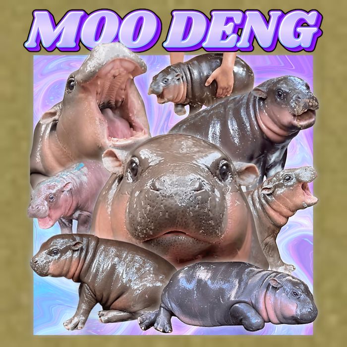 Moo Deng Meme Hippo Garment-Dyed Women's Muscle Tee