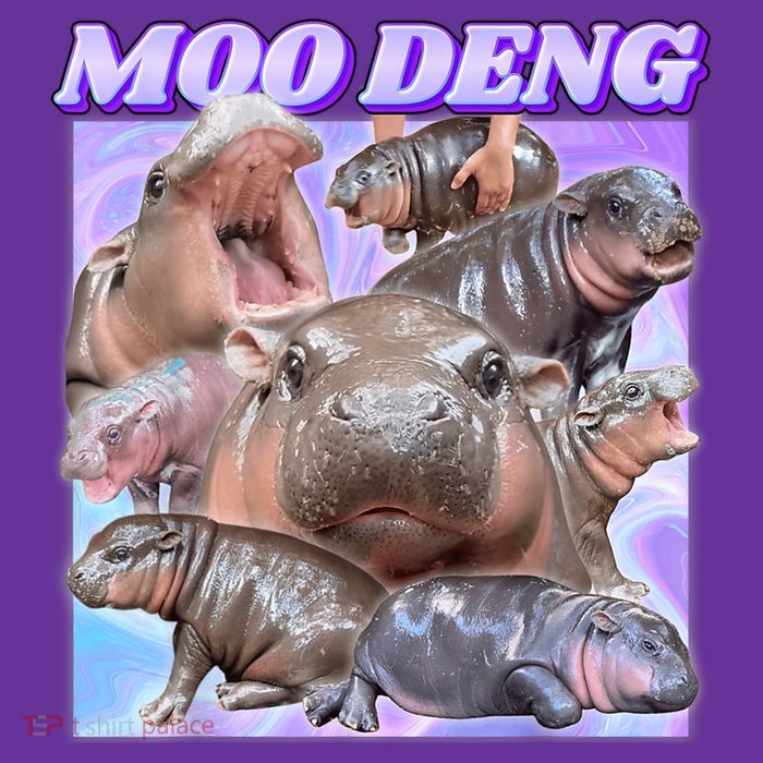 Moo Deng Meme Hippo Youth Performance Sprint T-Shirt