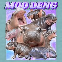 Moo Deng Meme Hippo Sueded Cloud Jersey T-Shirt