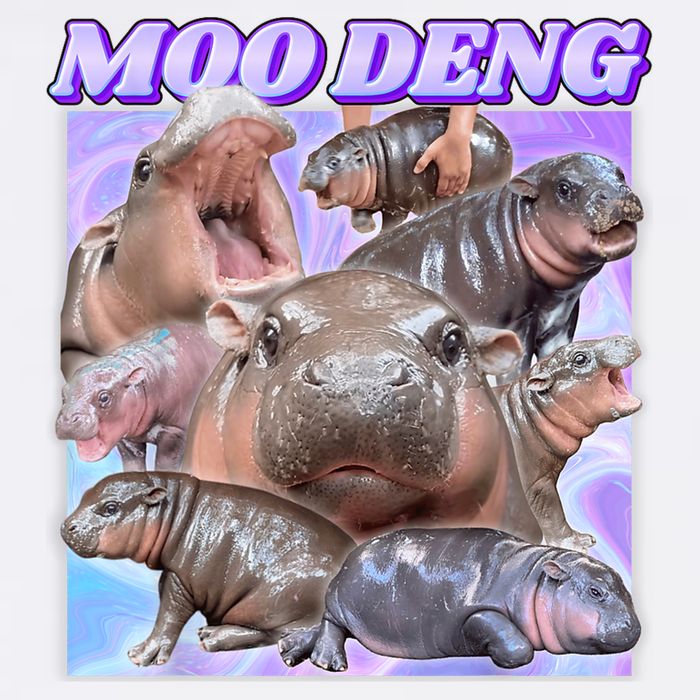 Moo Deng Meme Hippo Garment-Dyed Sweatshirt