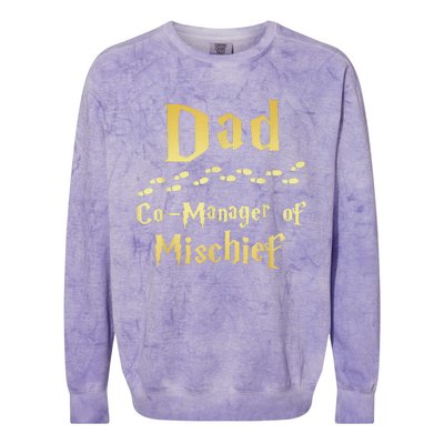 Magical Dad Manager Of Mischief Birthday Family Matching Colorblast Crewneck Sweatshirt