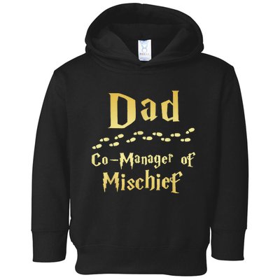 Magical Dad Manager Of Mischief Birthday Family Matching Toddler Hoodie