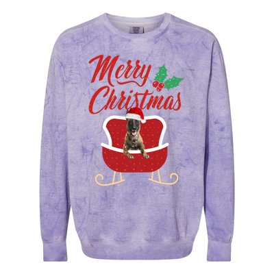 Malinois Dog Merry Christmas Design For The Holiday Season! Colorblast Crewneck Sweatshirt