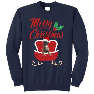 Malinois Dog Merry Christmas Design For The Holiday Season! Tall Sweatshirt