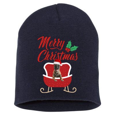 Malinois Dog Merry Christmas Design For The Holiday Season! Short Acrylic Beanie