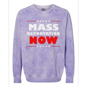 Mass Deportation Now Protest Colorblast Crewneck Sweatshirt