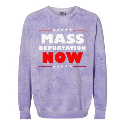 Mass Deportation Now Protest Colorblast Crewneck Sweatshirt