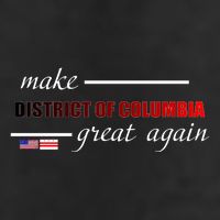 Make District Of Columbia Great Again 25L Jumbo Tote