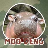 Moo Deng Pygmy Hippopotamus Funny Meme Legacy Tie Dye Trucker Hat