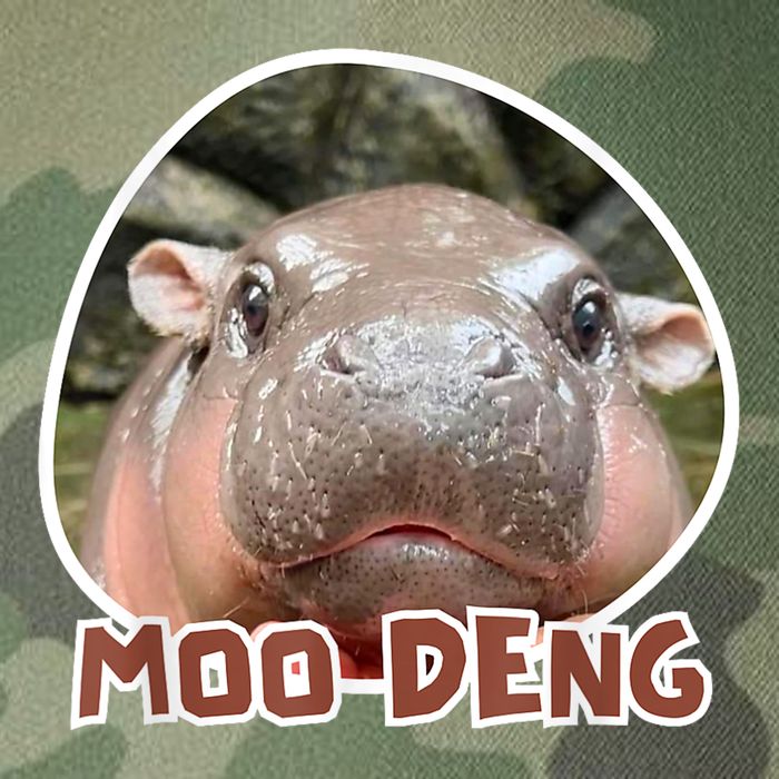 Moo Deng Pygmy Hippopotamus Funny Meme Legacy Tie Dye Trucker Hat