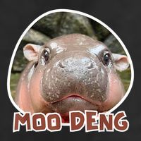 Moo Deng Pygmy Hippopotamus Funny Meme 7 Panel Mesh Trucker Snapback Hat