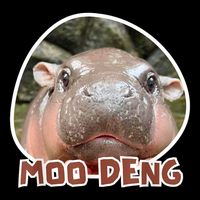 Moo Deng Pygmy Hippopotamus Funny Meme Drawstring Bag