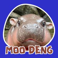 Moo Deng Pygmy Hippopotamus Funny Meme Women's V-Neck T-Shirt
