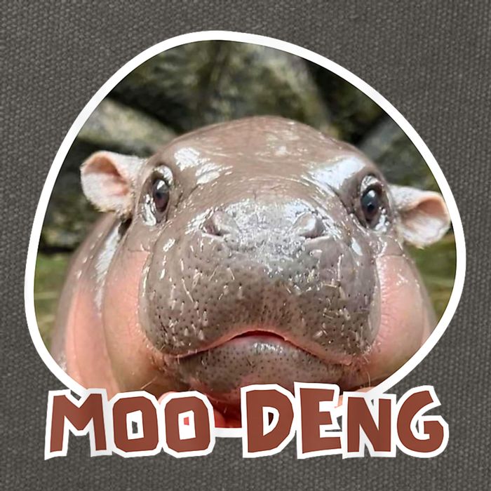 Moo Deng Pygmy Hippopotamus Funny Meme Cotton Canvas Backpack