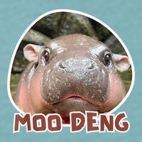 Moo Deng Pygmy Hippopotamus Funny Meme Sueded Cloud Jersey T-Shirt