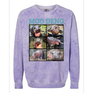 Moo Deng Picture Meme Funny Hippo Colorblast Crewneck Sweatshirt