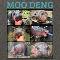 Moo Deng Picture Meme Funny Hippo Cotton Canvas Backpack