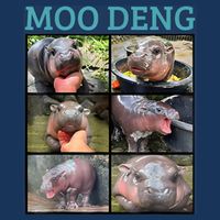 Moo Deng Picture Meme Funny Hippo Drawstring Bag
