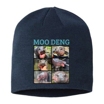 Moo Deng Picture Meme Funny Hippo Sustainable Beanie